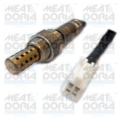 Oxygen Sensor